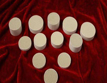 12頁(yè)-2：載體圖片1